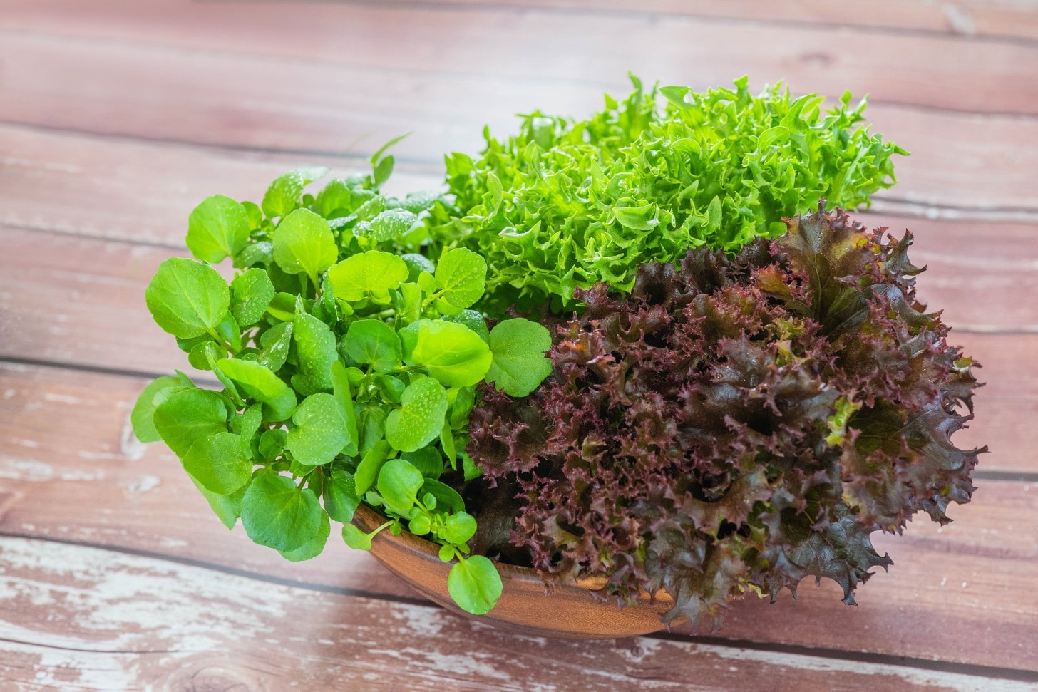 美濃国やさい盛合せ（皿）