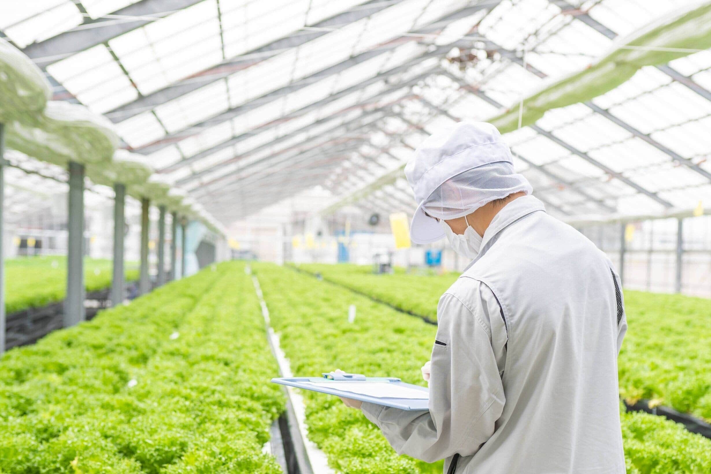 育成状態のチェック