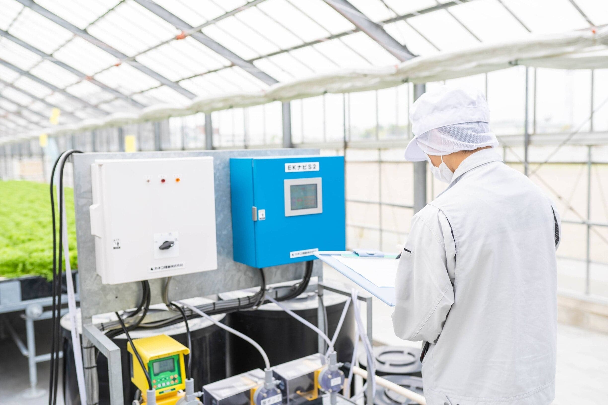 養液のチェック