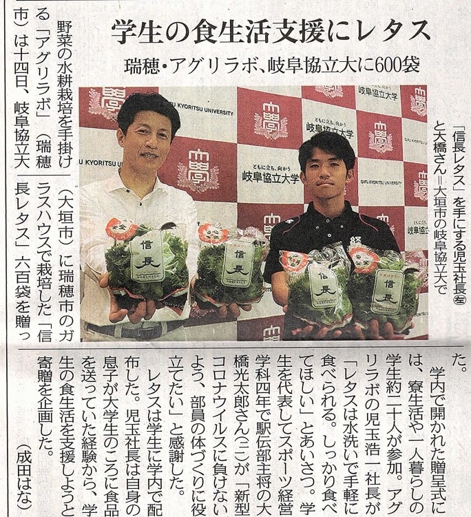 信長レタス盛り付け