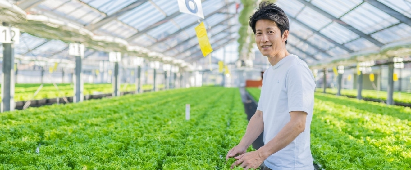 レタスの発育状況を見ている児玉社長