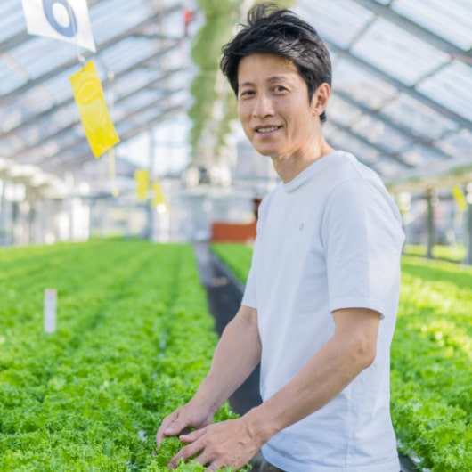 レタスの発育状況を見ている児玉社長