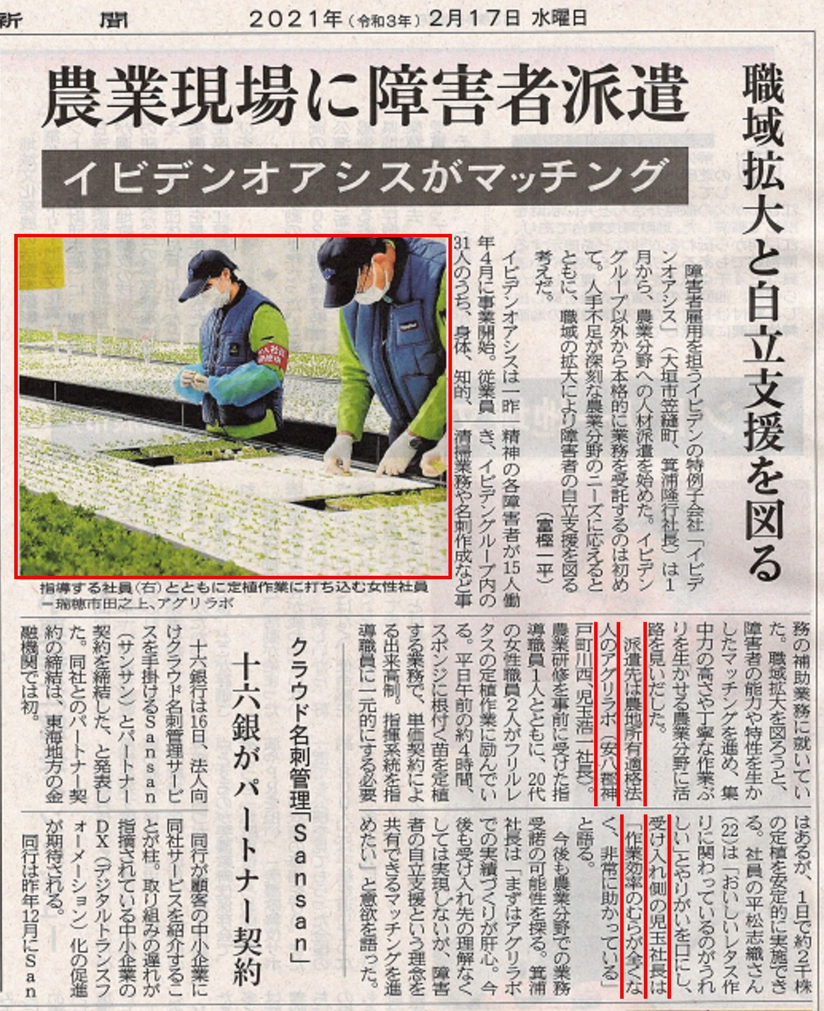 信長レタス盛り付け