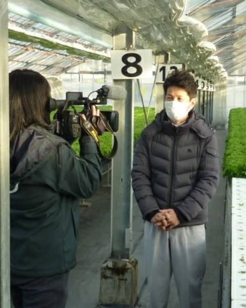 信長レタス盛り付け