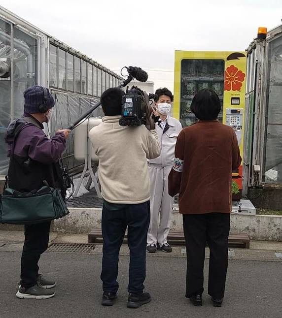 信長レタス盛り付け