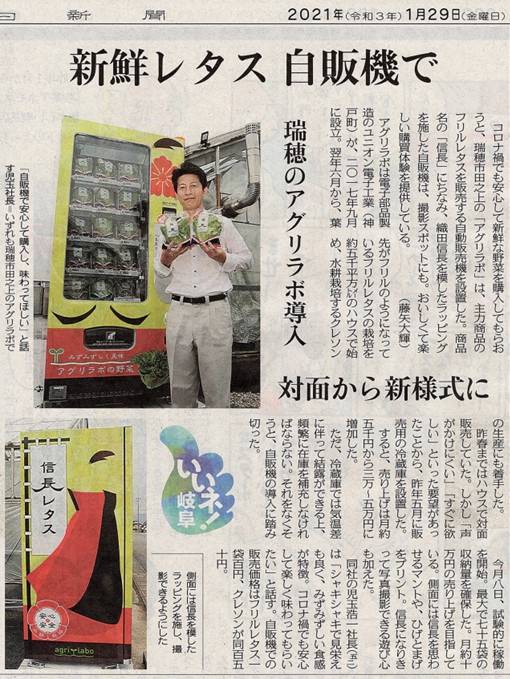 信長レタス盛り付け