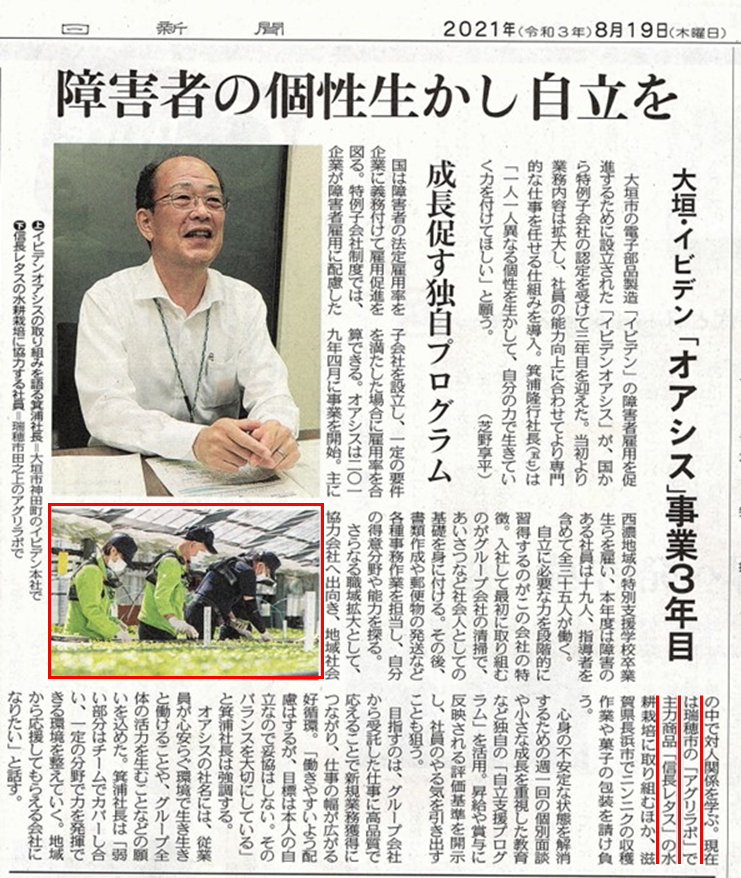 手で持った信長レタス