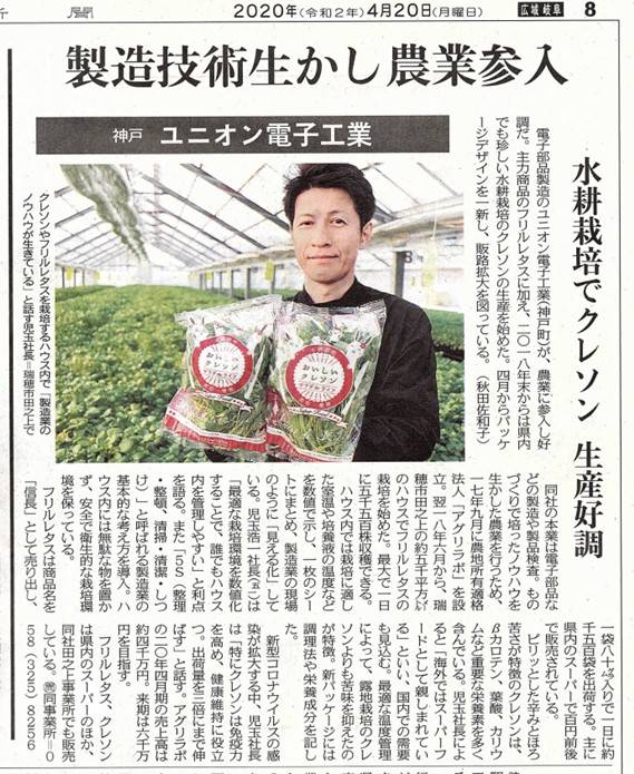 信長レタス盛り付け