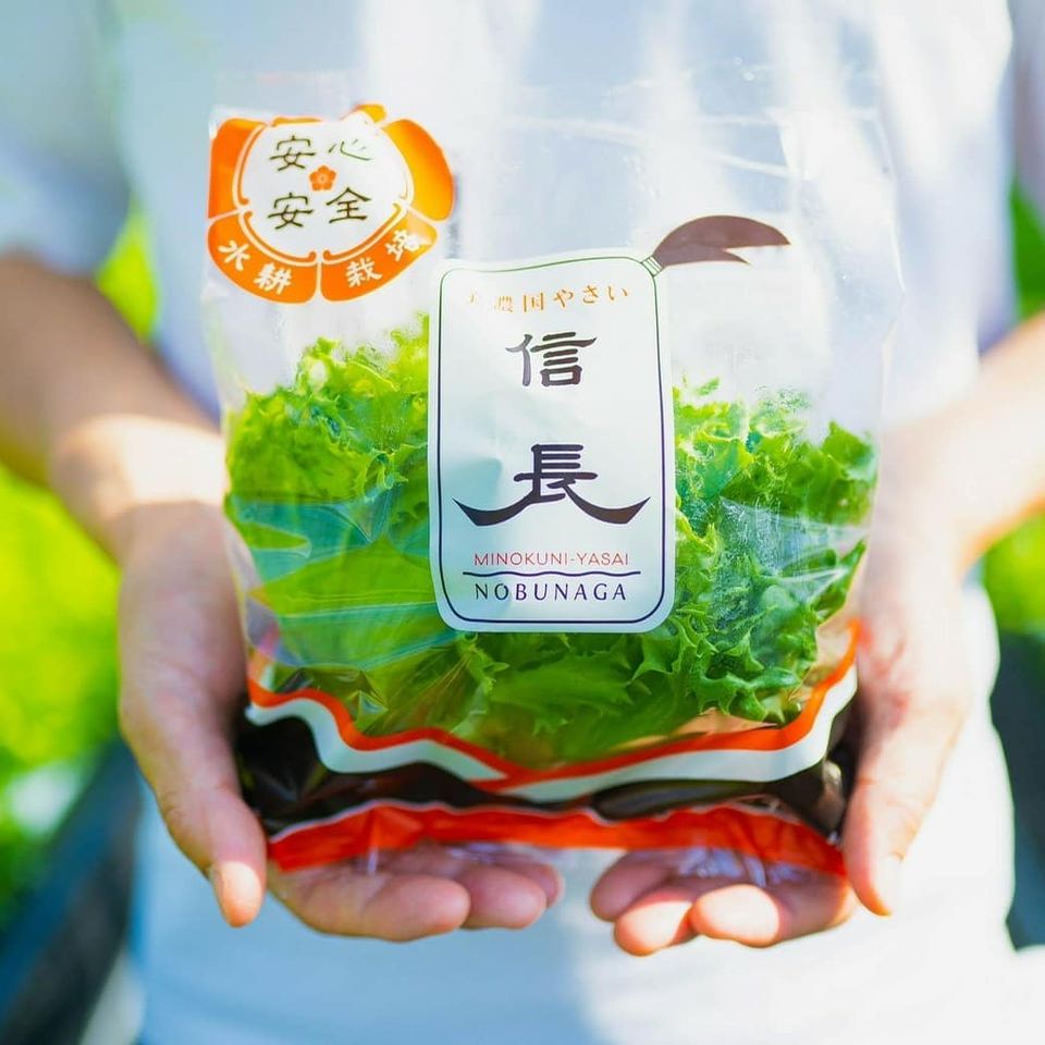 レタスの自動販売機移設