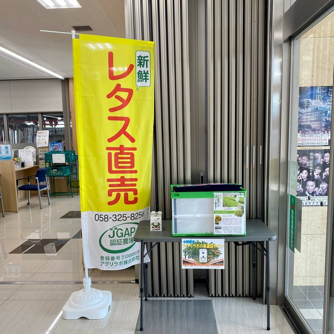 JAぎふ巣南支店で信長レタス販売