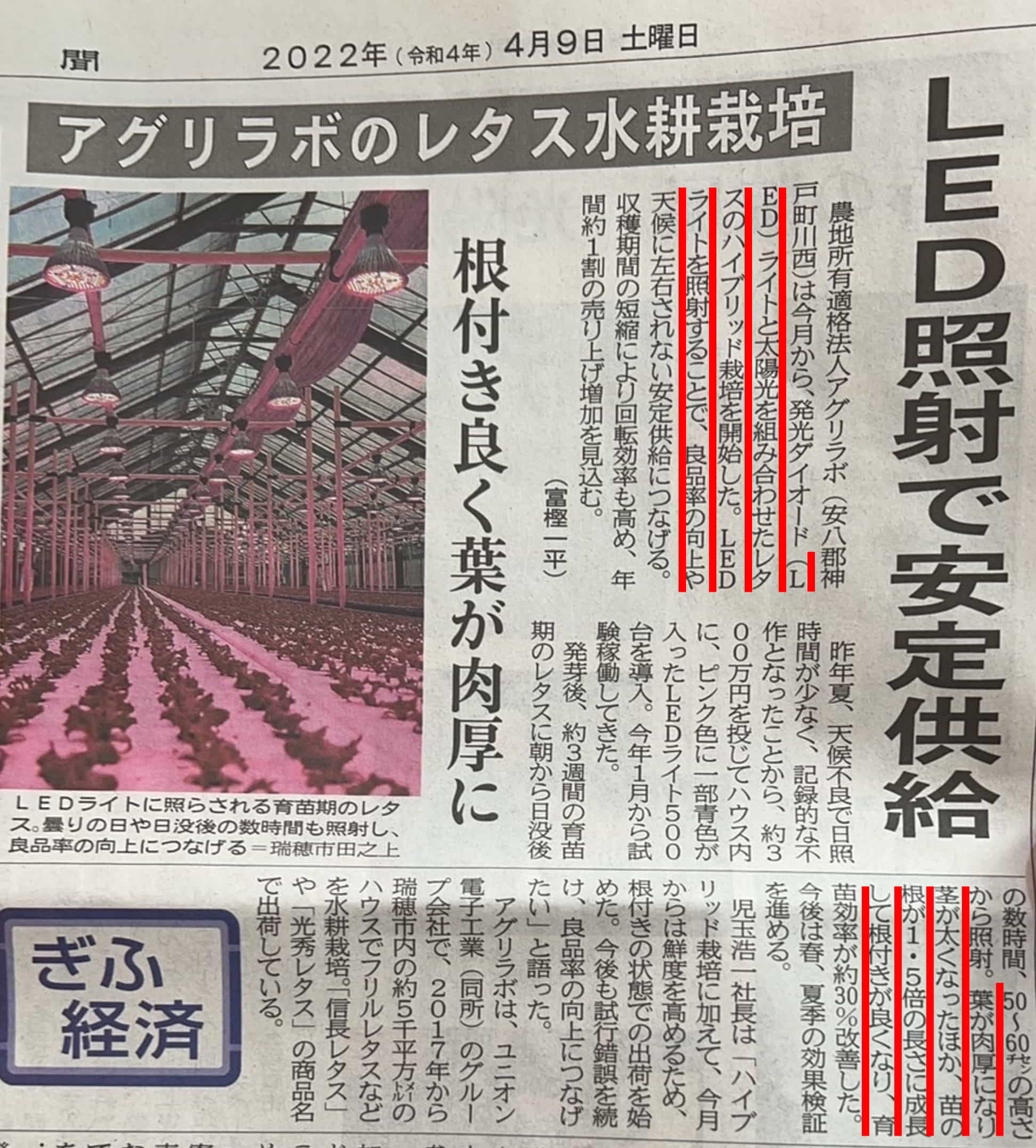 LED岐阜新聞記事